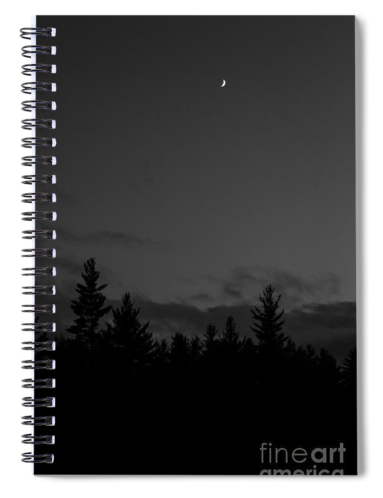 Moon Spiral Notebook featuring the photograph The Woods and the Moon 4 Black and White by Marina McLain