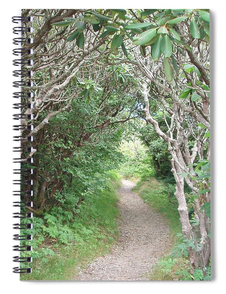 Path Spiral Notebook featuring the photograph There is a Path by Allen Nice-Webb
