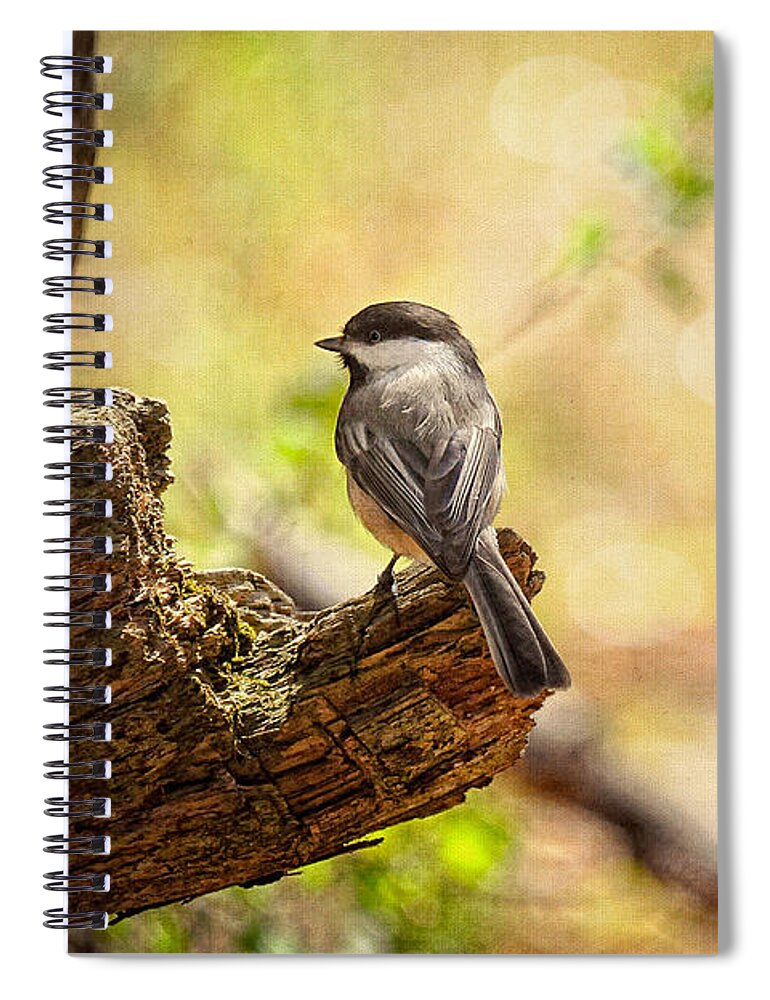 Bird Spiral Notebook featuring the photograph Thinking of Spring by Lois Bryan