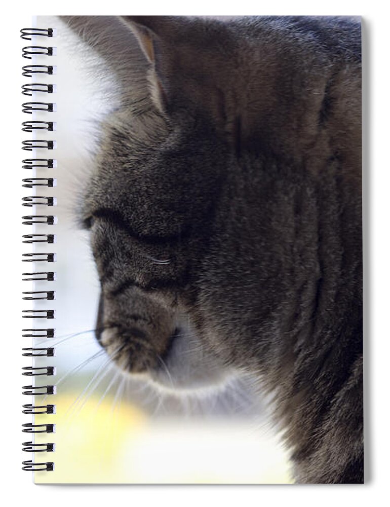 Animal Spiral Notebook featuring the photograph Longing... by Helga Novelli