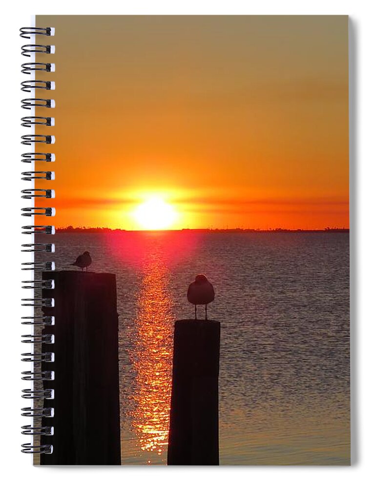 Sunset Spiral Notebook featuring the photograph Three Birds in the Sunset by Keith Stokes