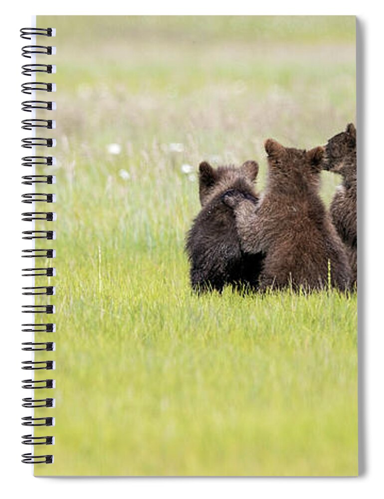 Cubs Spiral Notebook featuring the photograph Three Cubs Watching by Mark Harrington