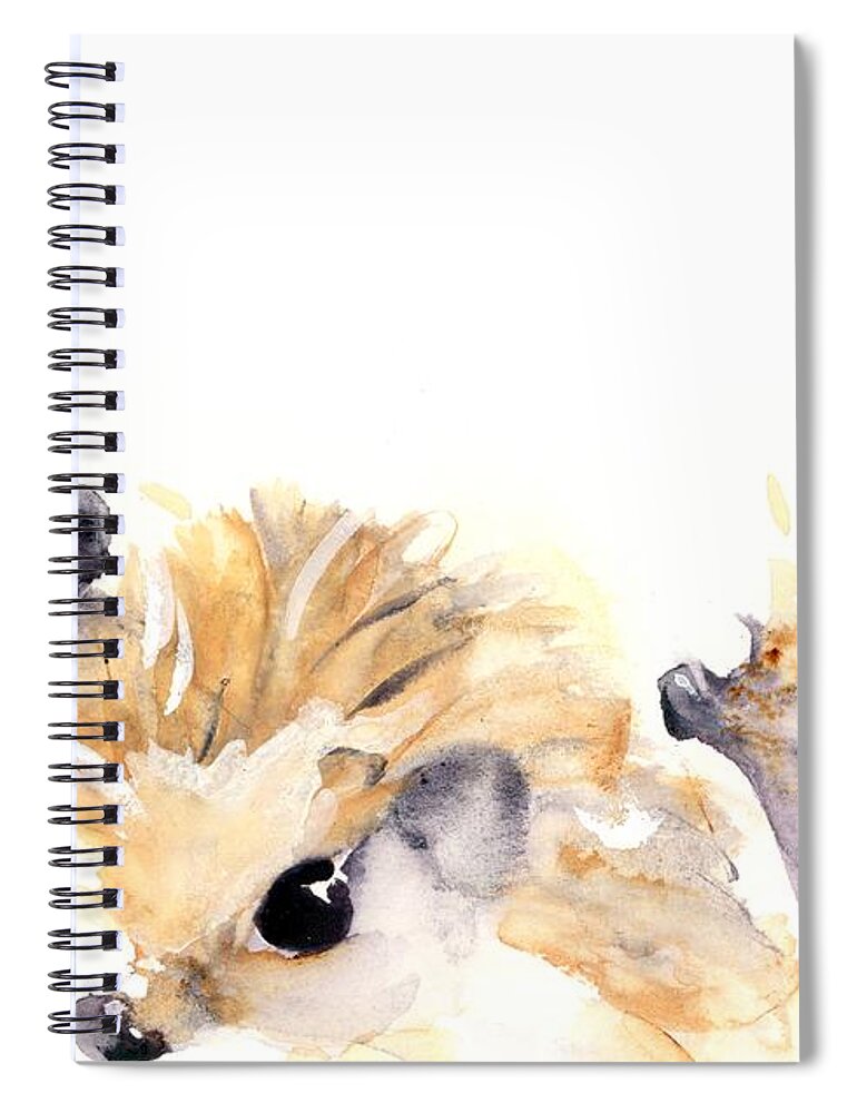 Hedgehog Watercolor Spiral Notebook featuring the painting Three Hedgehogs by Dawn Derman