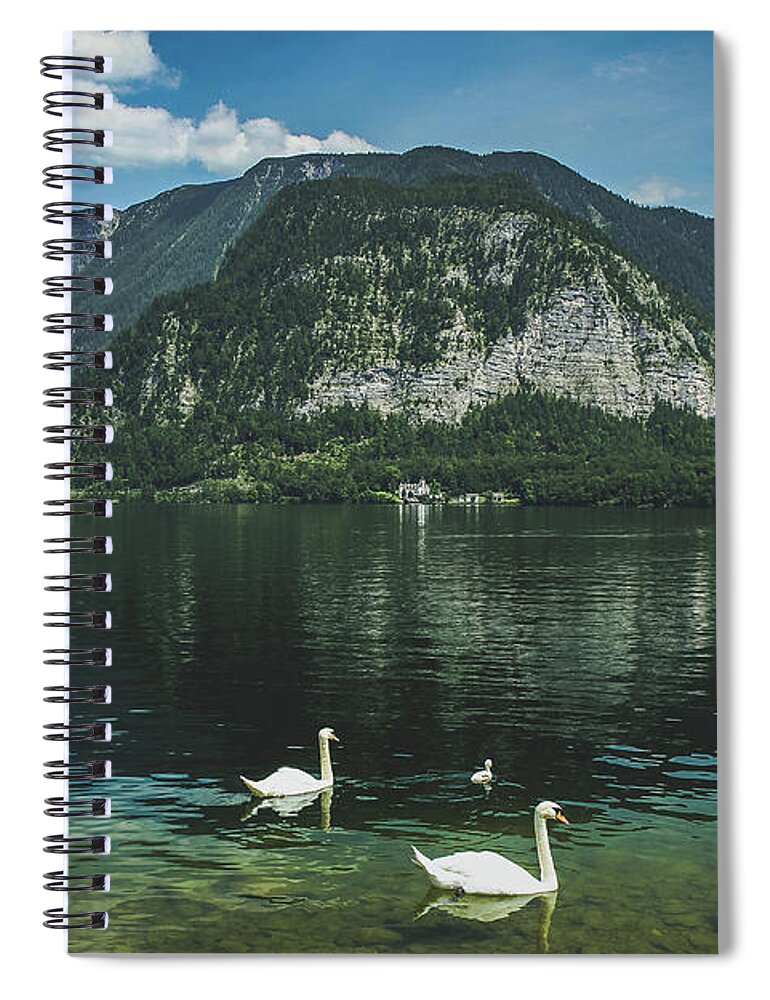 Animal Spiral Notebook featuring the photograph Three Lake Hallstatt Swans by Andy Konieczny