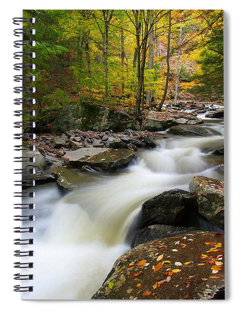 Fall Spiral Notebook featuring the photograph Three Seconds in Fall by Neil Shapiro