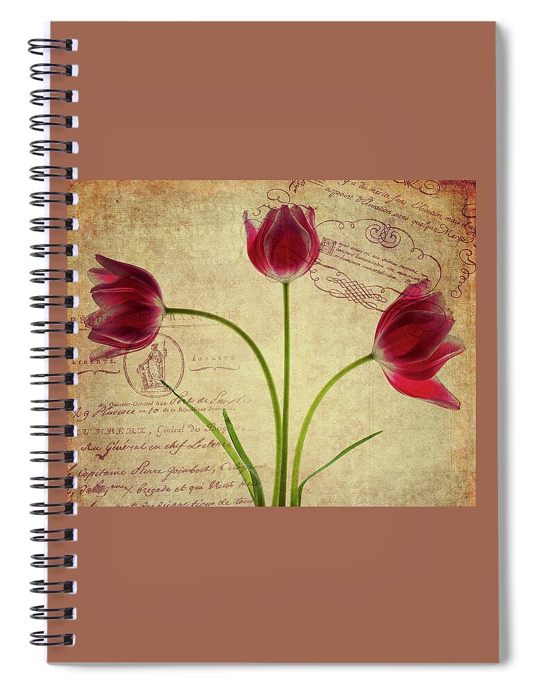 Tulips Spiral Notebook featuring the photograph Three Tulips Letter by Rebecca Cozart