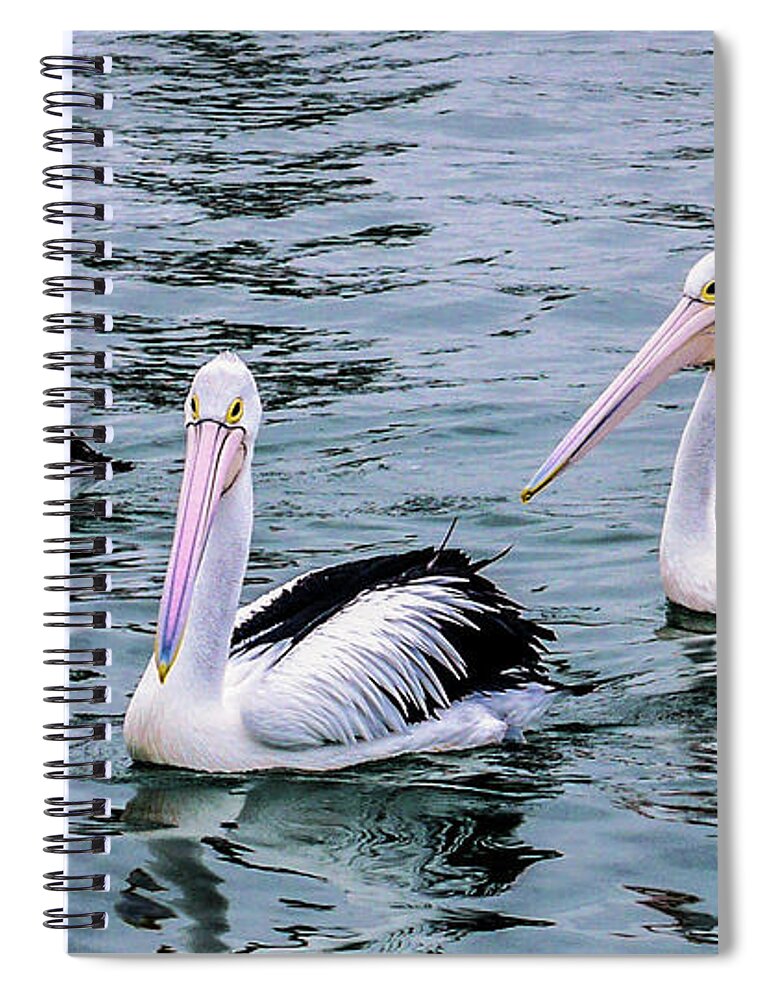 Birds Of The World By Lexa Harpell Spiral Notebook featuring the photograph Threes Company by Lexa Harpell