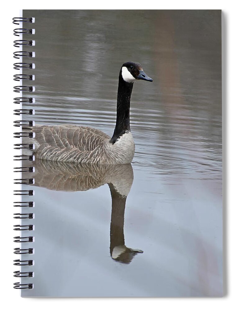 Through The Trees Spiral Notebook featuring the photograph Through The Trees by Kathy M Krause