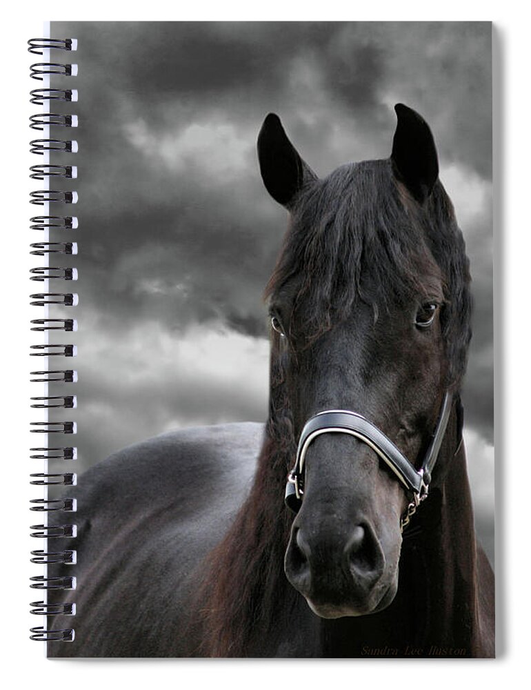Animal Spiral Notebook featuring the photograph Thunder the Dark Horse, square by Sandra Huston