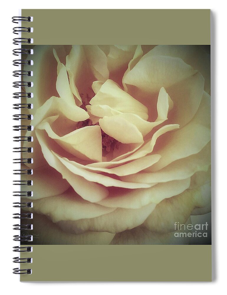 Love Spiral Notebook featuring the photograph Ti Voglio Bene Mamma by Robert ONeil