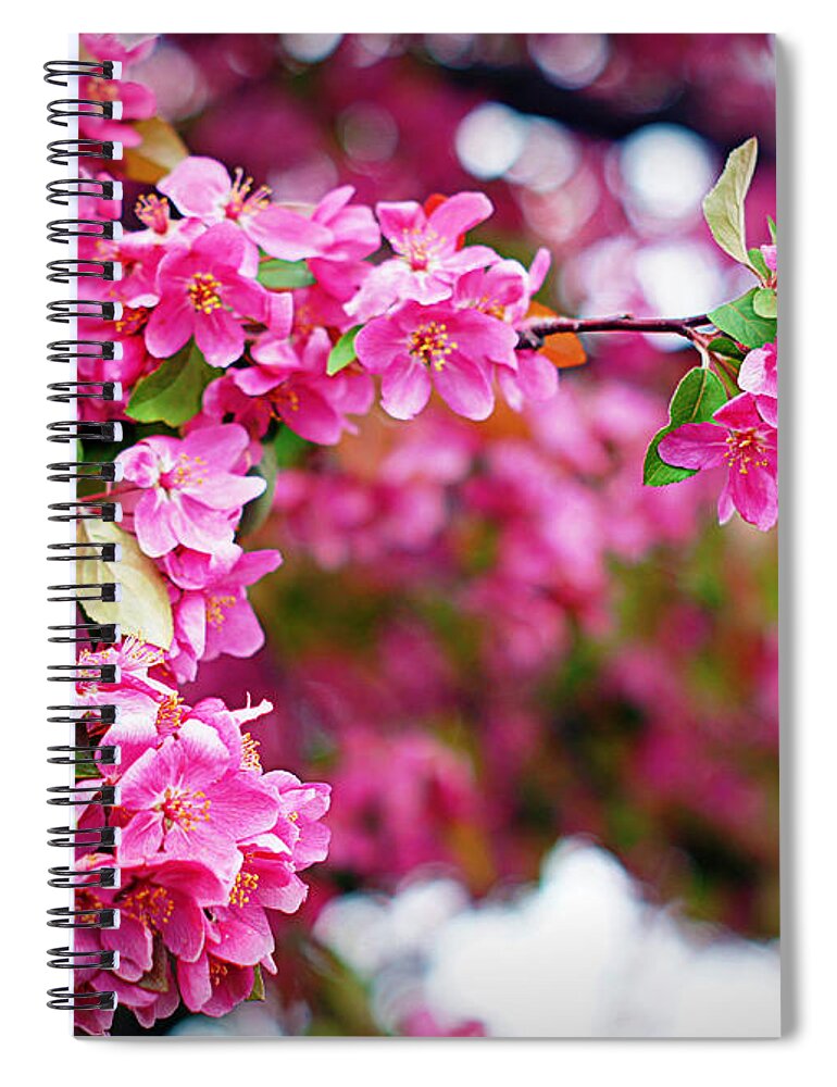 Flower Spiral Notebook featuring the photograph Tickled Pink by Cricket Hackmann