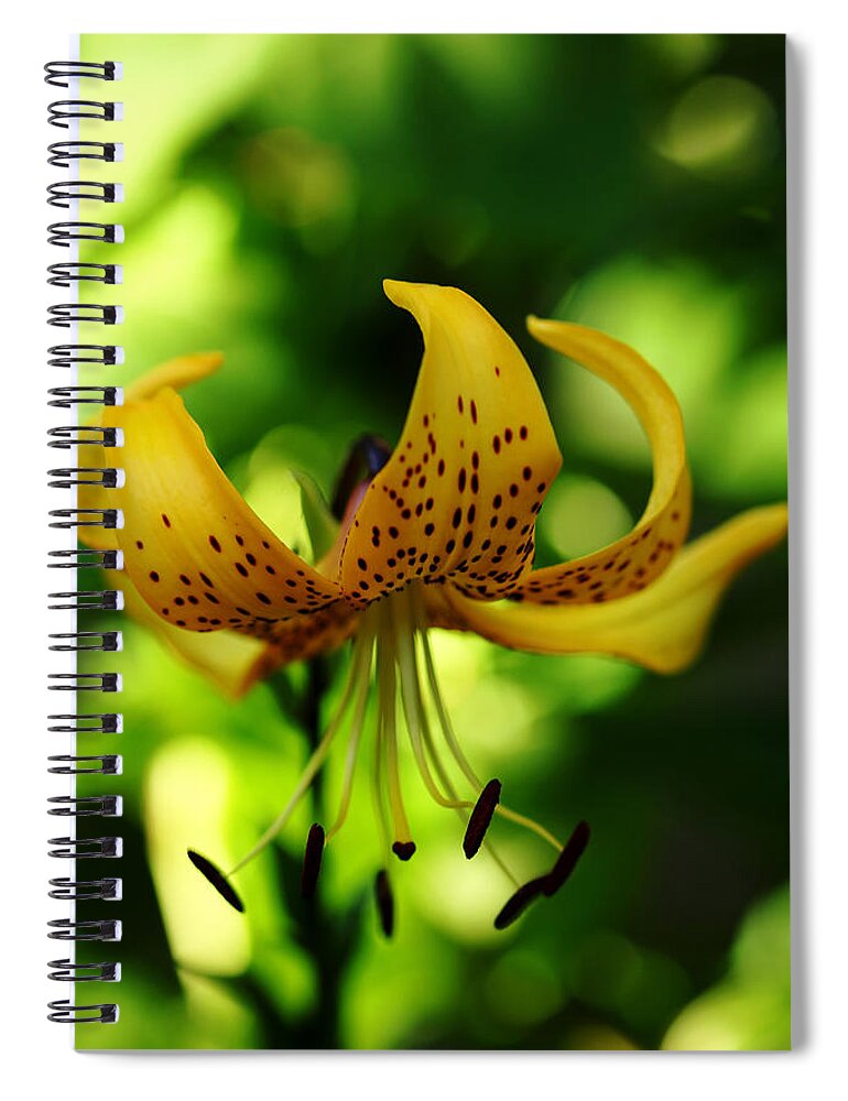 Tiger Lily Spiral Notebook featuring the photograph Tiger Lily by Debbie Oppermann
