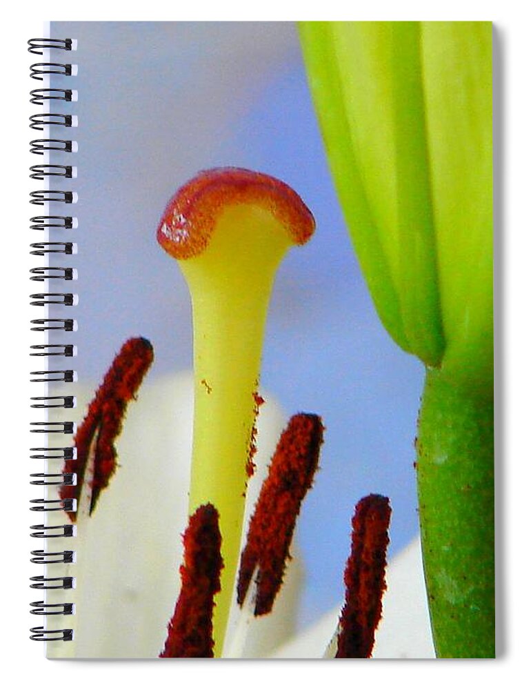 Tigerlily Spiral Notebook featuring the photograph Tigerlily Close-up by Ana Maria Edulescu