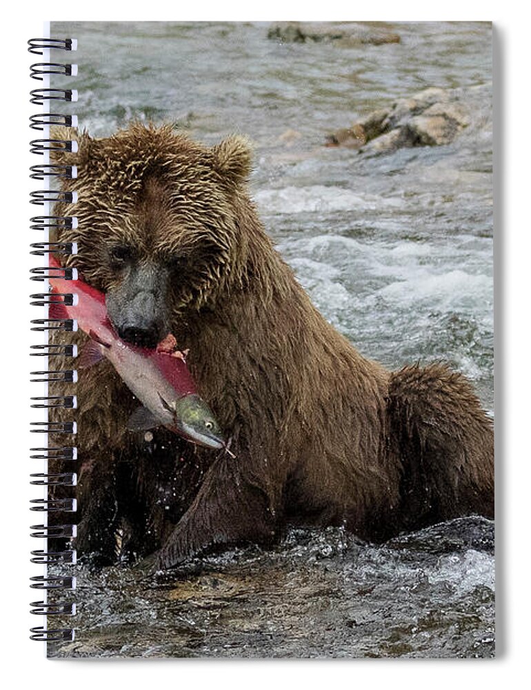 Alaska Spiral Notebook featuring the photograph Time for Lunch by Cheryl Strahl