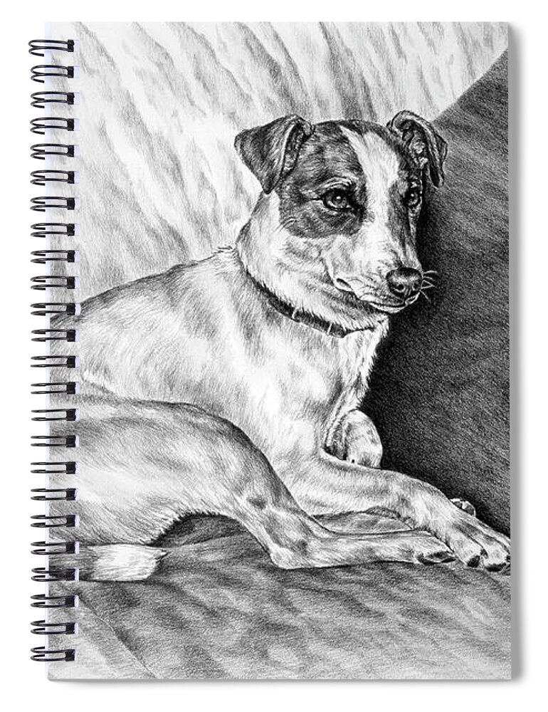 Jack Russell Spiral Notebook featuring the drawing Time Out - Jack Russell Dog Print by Kelli Swan
