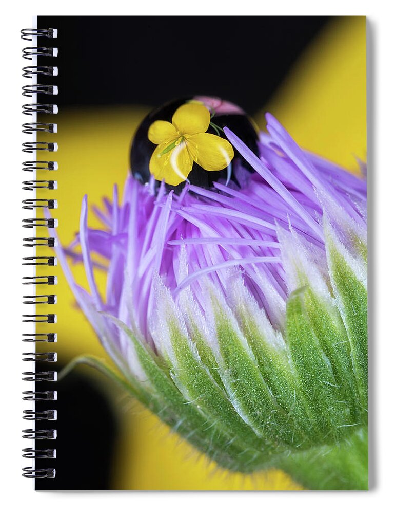 Laowa 60mm Spiral Notebook featuring the photograph Tiny Reflection by Tracy Munson