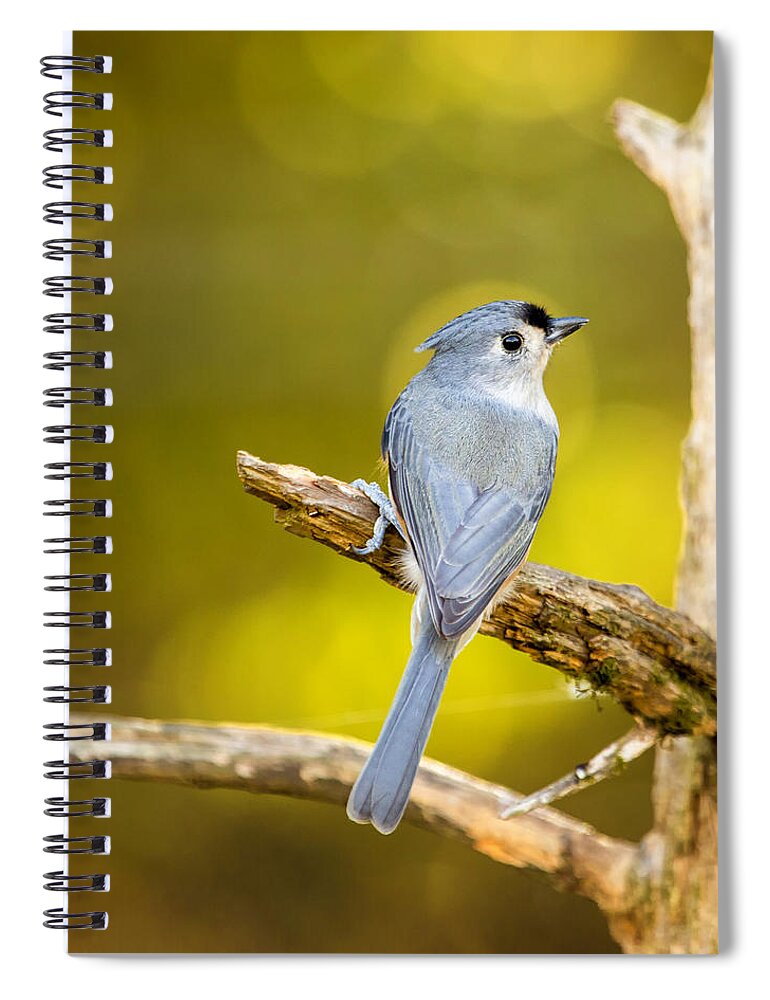 Titmouse Spiral Notebook featuring the photograph Titmouse From Behind by Bill and Linda Tiepelman