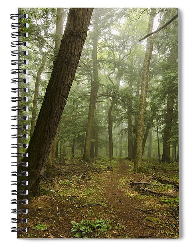 Porcupine Mountains Spiral Notebook featuring the photograph To Grand Mother's House We Go by Steve L'Italien