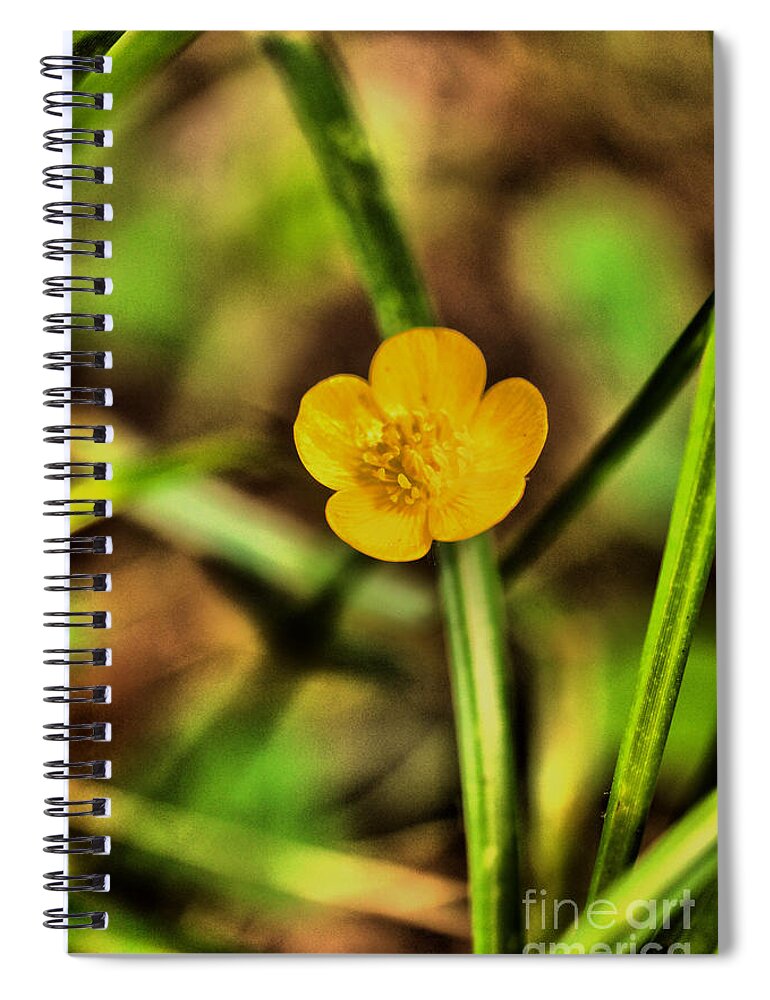 Flower Spiral Notebook featuring the photograph To marvel at tiny things by Jeff Swan