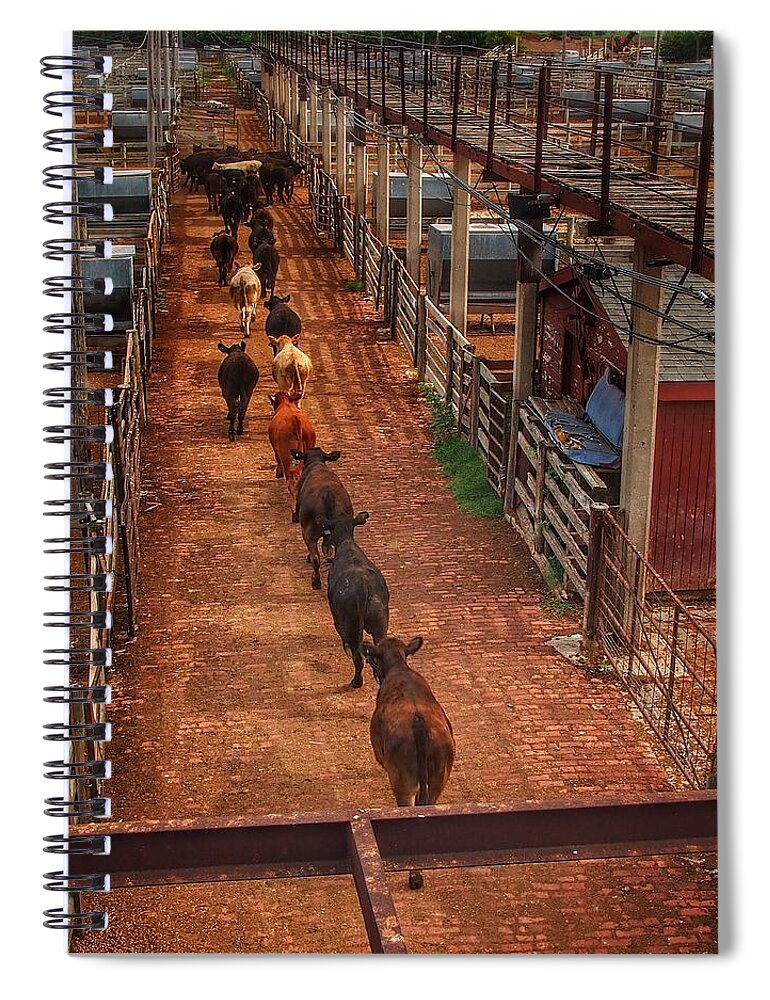 Stockyard Spiral Notebook featuring the photograph To the Pens by Buck Buchanan