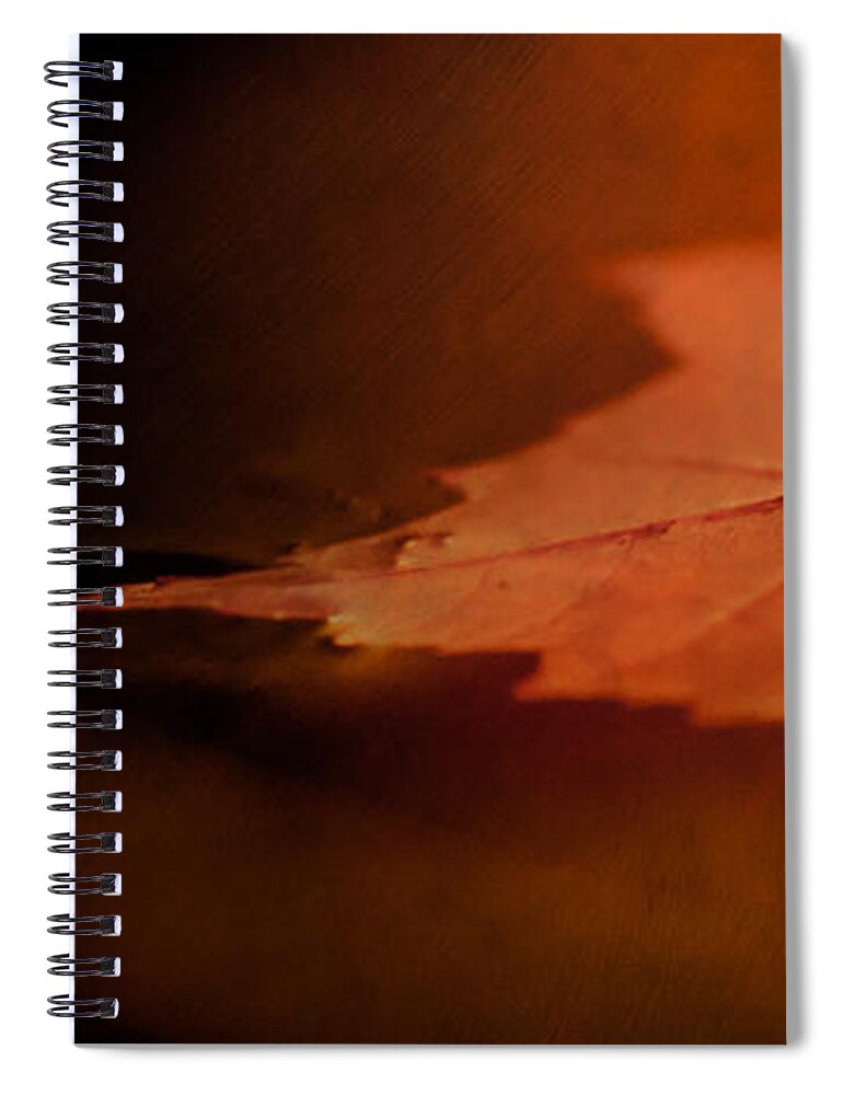 Leaf Spiral Notebook featuring the photograph Together at last. by Maggie Terlecki