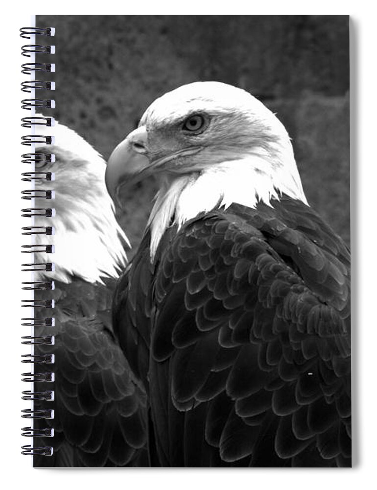 Eagles Spiral Notebook featuring the photograph Together In Montana Black And White by Adam Jewell