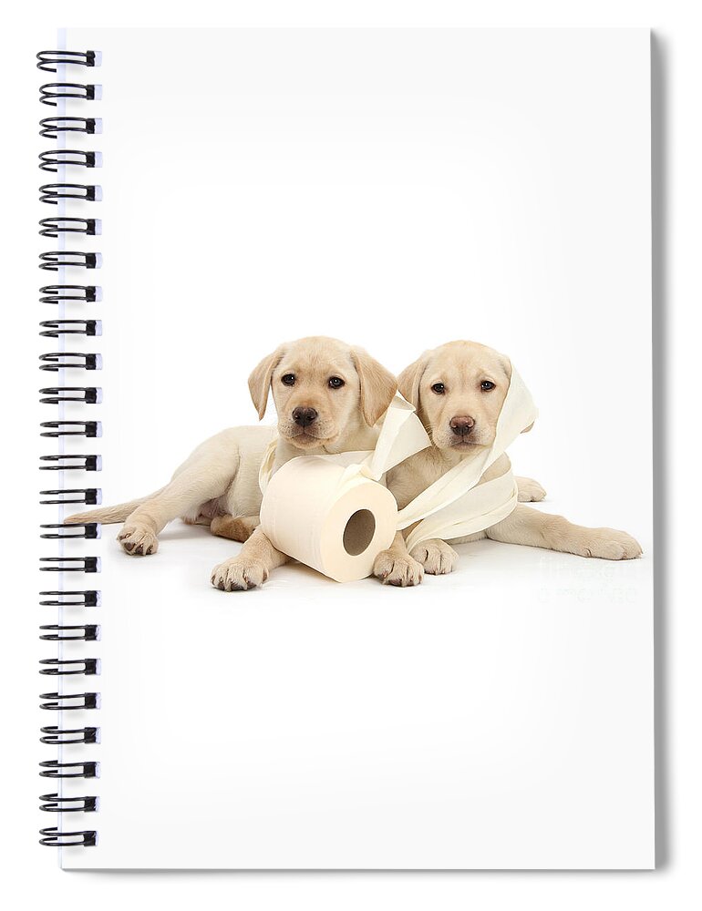 Labrador Retriever Spiral Notebook featuring the photograph Toilet Humour by Warren Photographic