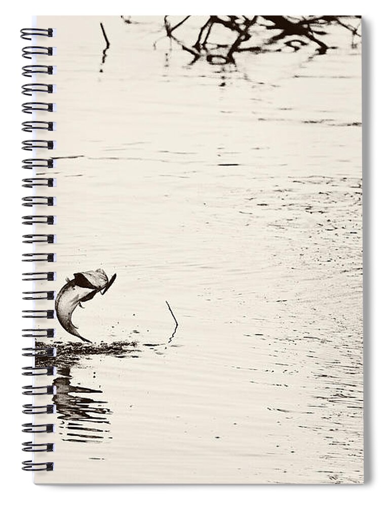 Top Water Explosion Spiral Notebook featuring the photograph Top Water Explosion - vintage tone by Scott Pellegrin