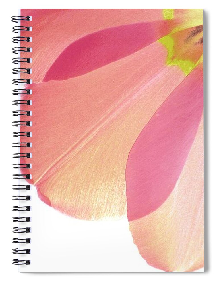 Mauve Tulips Spiral Notebook featuring the photograph Topsy Turvy Tulip by Angela Davies