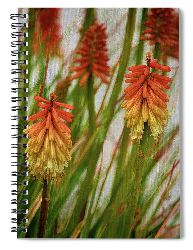Torch Lily Spiral Notebook featuring the photograph Torch Lily At The Beach by Sandi OReilly