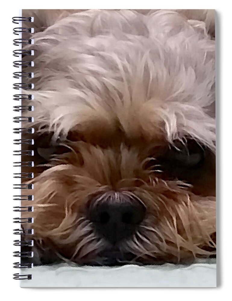 Dog Spiral Notebook featuring the photograph Tori by Kume Bryant
