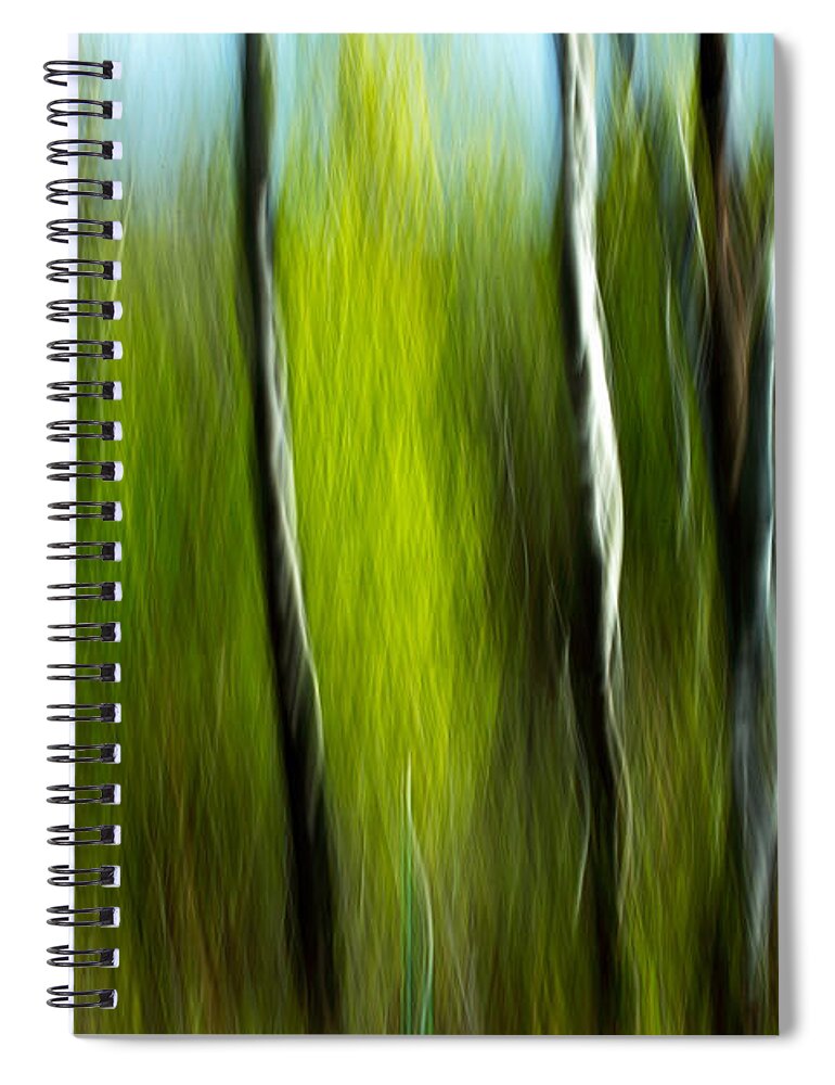 Trees Spiral Notebook featuring the photograph Torsion and Tension by Todd Klassy
