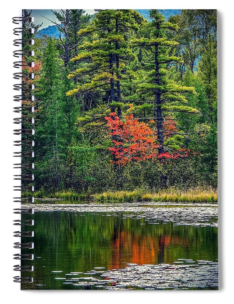  Spiral Notebook featuring the photograph Touch of color by Kendall McKernon