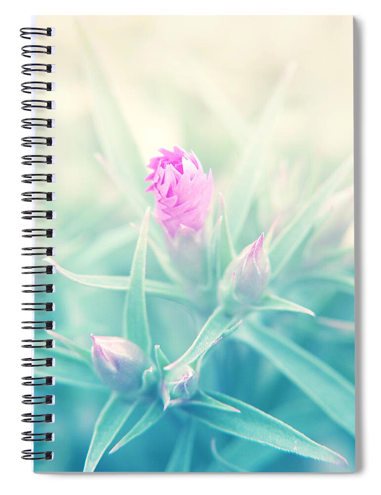 Flowers Spiral Notebook featuring the photograph Touch of Pink by Jackie Farnsworth