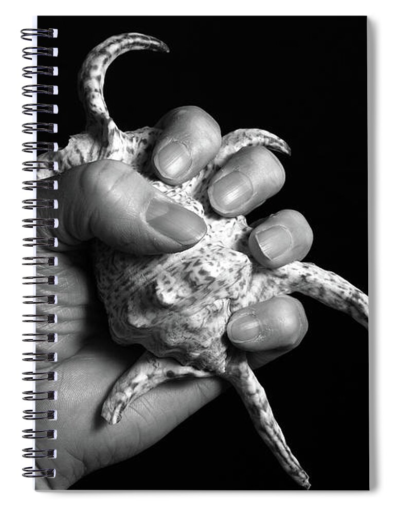 Shell Spiral Notebook featuring the photograph Touch Series - shells by Nicholas Burningham