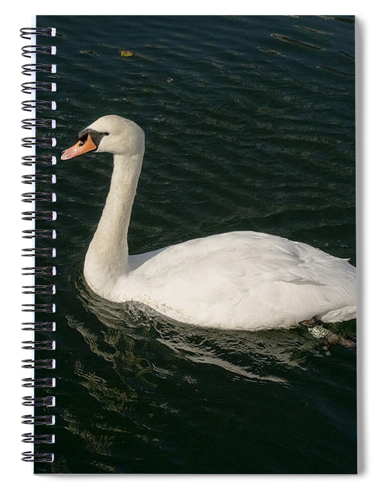 Swan Spiral Notebook featuring the photograph Tour de Swan. Trois. by Elena Perelman