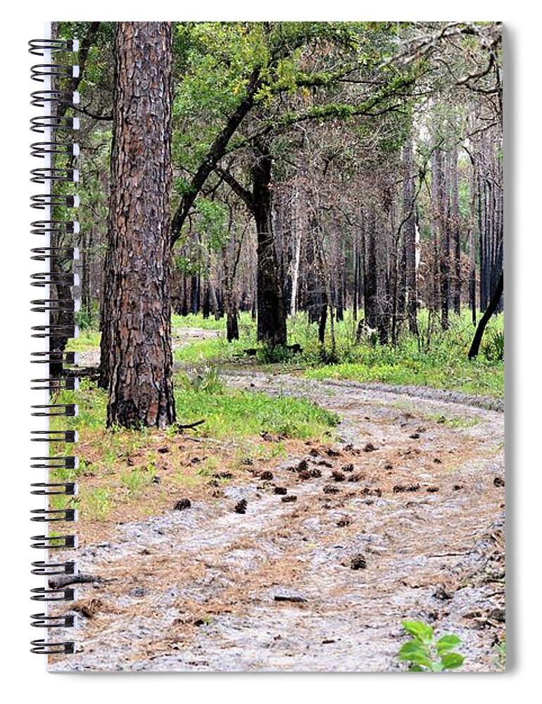 Trail At Rock Springs Spiral Notebook featuring the photograph Trail At Rock Springs by Warren Thompson