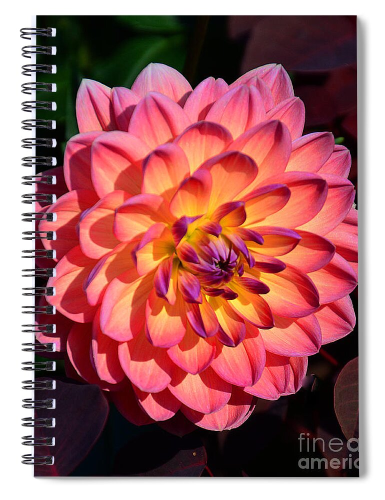 Flowers Spiral Notebook featuring the photograph Tranquility by Cindy Manero