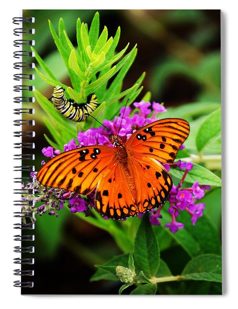 Spiral Notebook featuring the photograph Transformation by Rodney Lee Williams