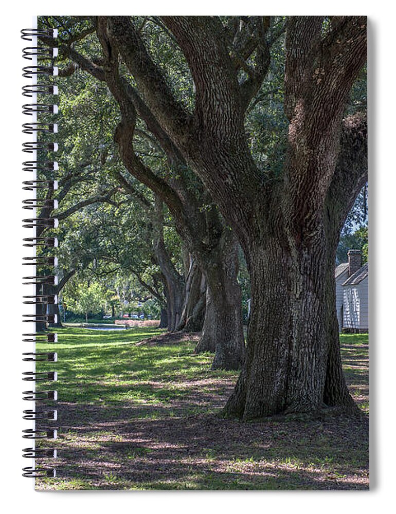 Transition To Freedom Spiral Notebook featuring the photograph Transition to Freedom by Dale Powell