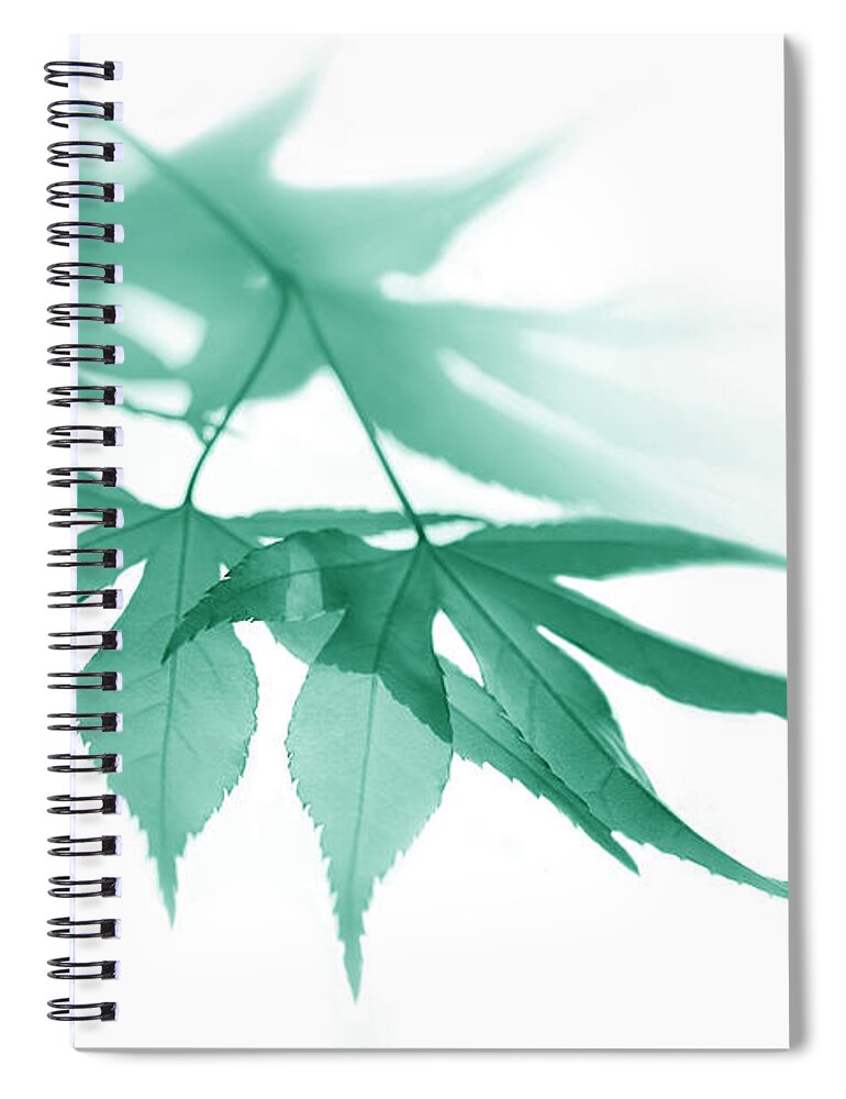 Leaf Spiral Notebook featuring the photograph Translucent Teal Leaves by Jennie Marie Schell