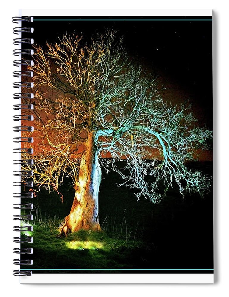 Tree Spiral Notebook featuring the photograph Tree and Moon by Mal Bray