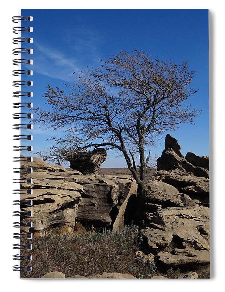 Tree Spiral Notebook featuring the photograph Tree at Stirling Rock by Keith Stokes