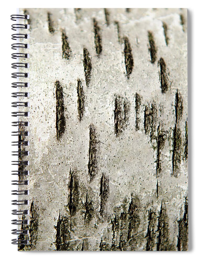 Tree Bark Spiral Notebook featuring the photograph Tree Bark Abstract by Christina Rollo