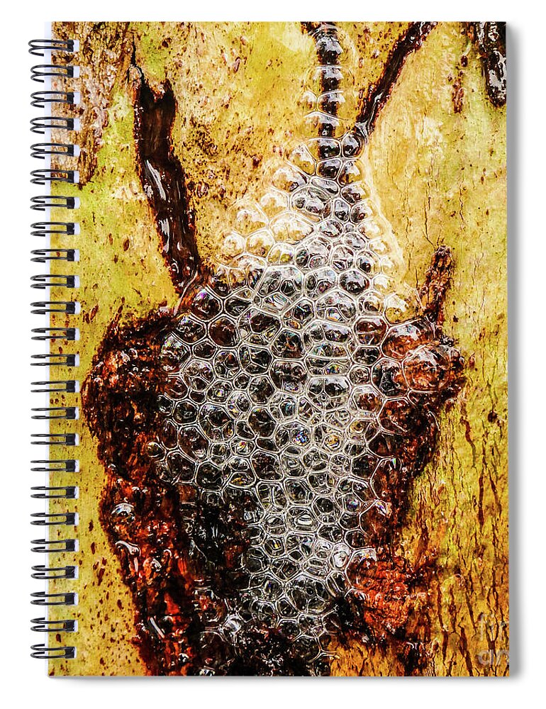 Close Up Spiral Notebook featuring the photograph Tree Bark Series - Bubbles #1 by Lexa Harpell