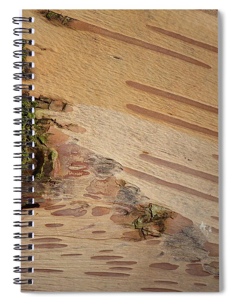 Tree Spiral Notebook featuring the photograph Tree bark with lichen by Margaret Brooks