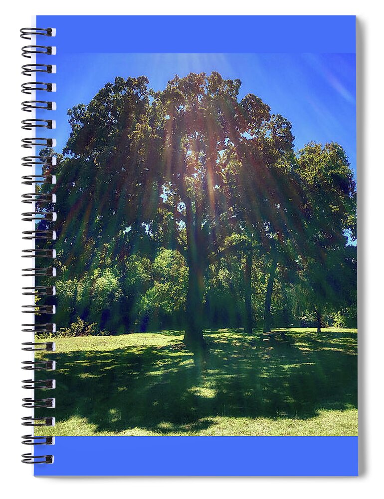 Tree Spiral Notebook featuring the photograph Tree Bathed in Sun by Doris Aguirre