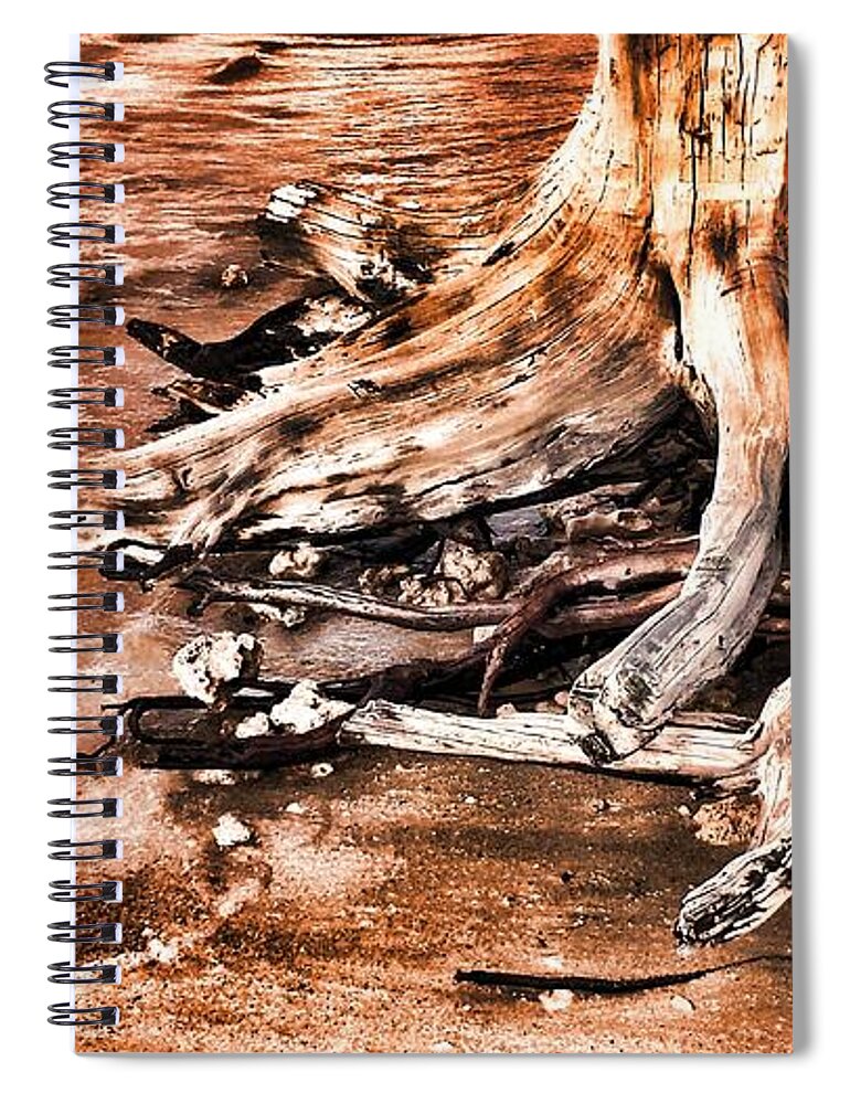 Tree Spiral Notebook featuring the photograph Tree by the Ocean 1 by Kristalin Davis by Kristalin Davis