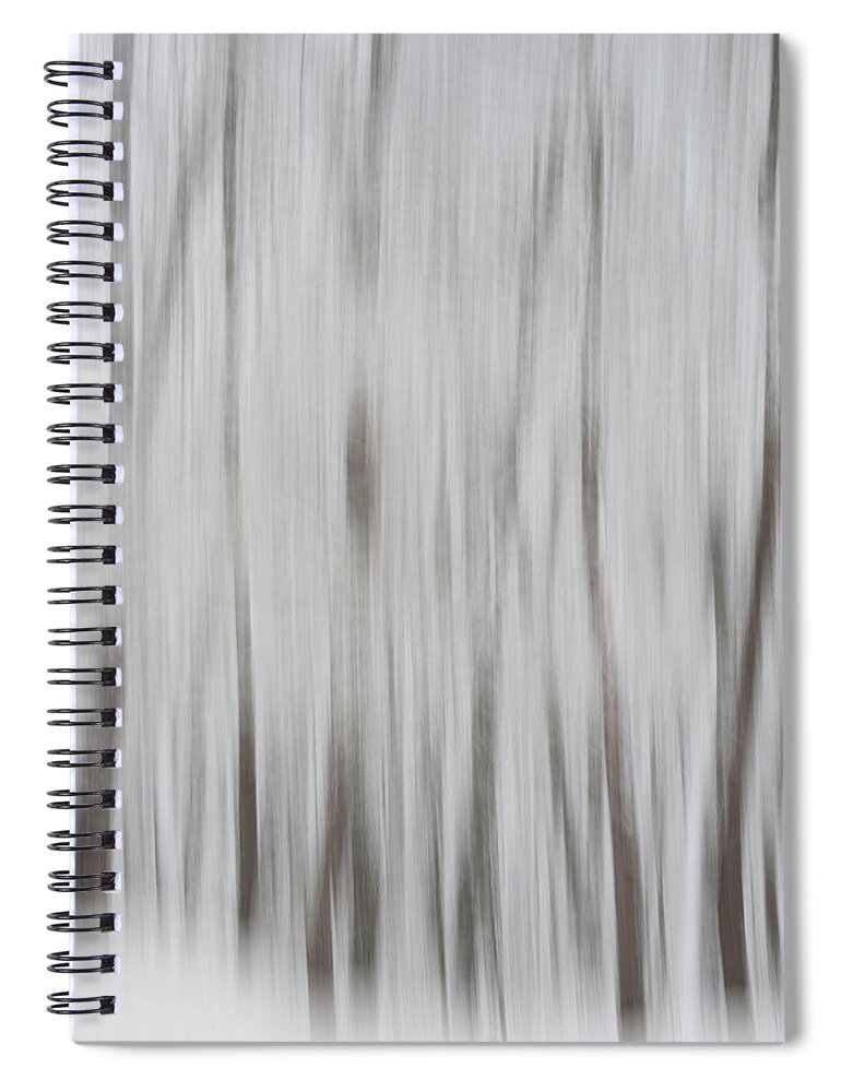 Lake County Spiral Notebook featuring the photograph Tree Dreams by Stewart Helberg