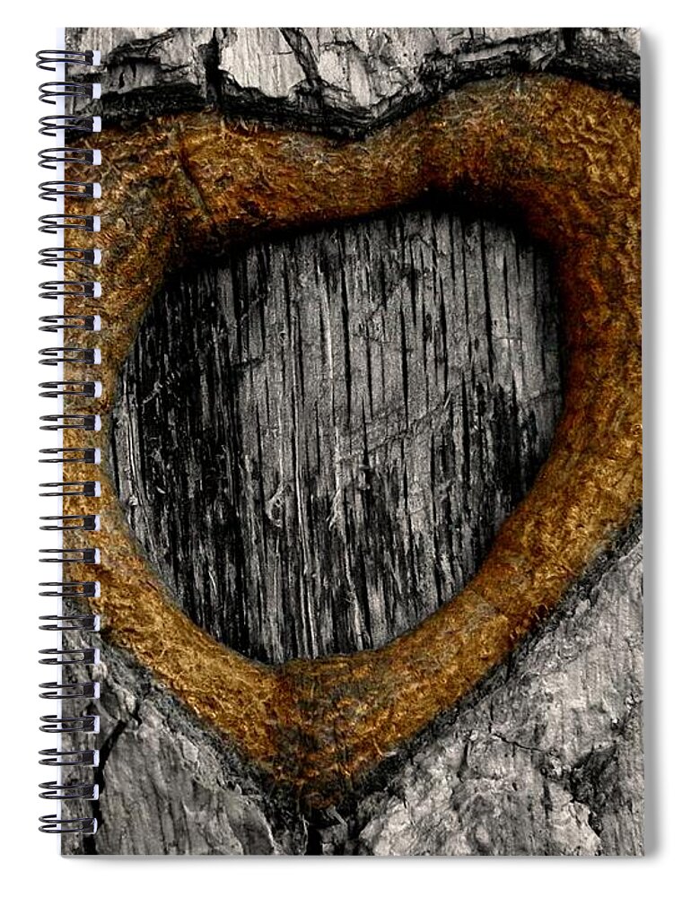 Wood Spiral Notebook featuring the photograph Tree Graffiti Heart by Chris Berry